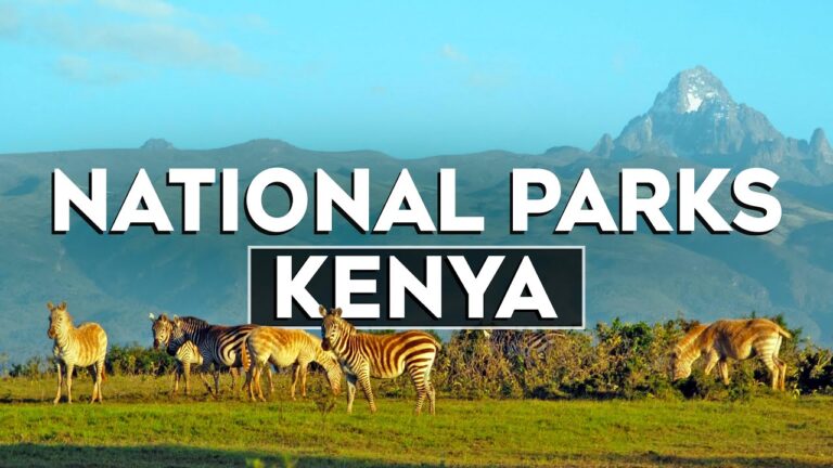 Top 10 Most Beautiful National Parks in Kenya – Travel Video 2024