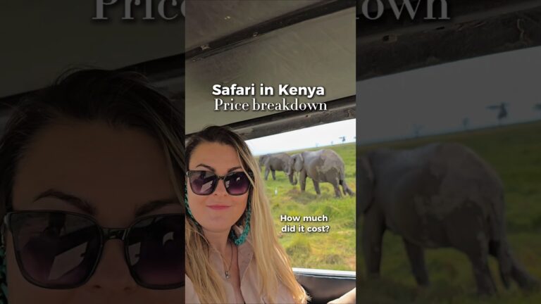 How much did it cost?🦒 Safari in Kenya 🇰🇪 Price breakdown #kenya #safari #africansafari #africa