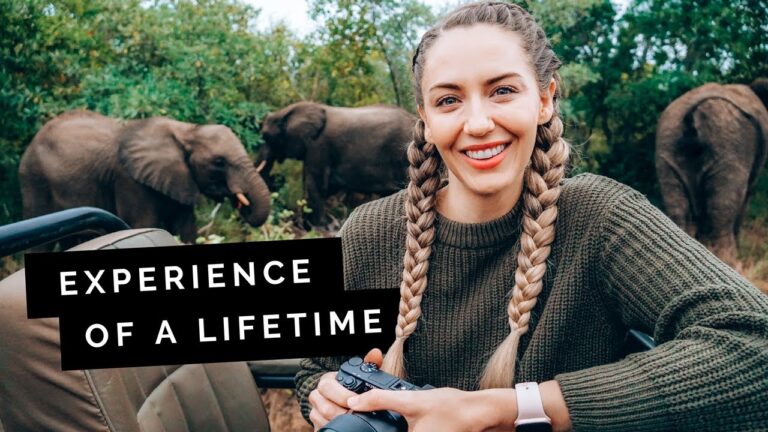 Let’s go on SAFARI in South Africa 🇿🇦 all-inclusive luxury!