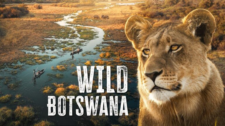 THIS Is the African Safari to Go On | Botswana’s Okavango Delta
