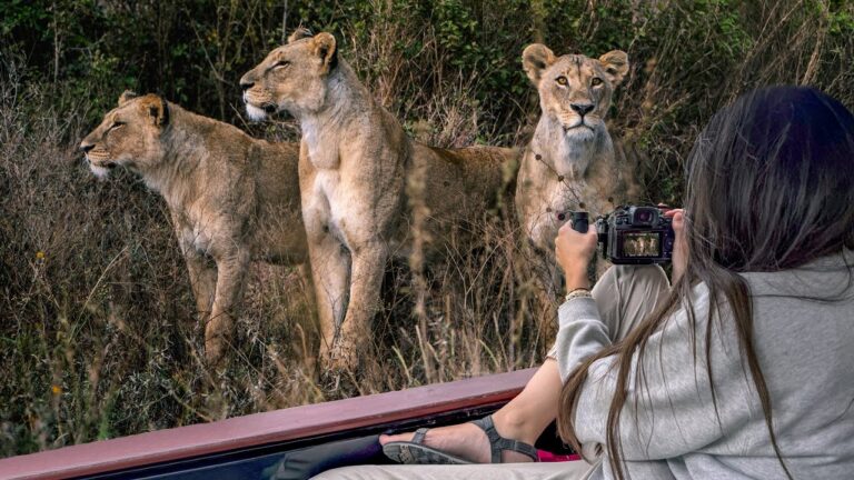 Kenya Safari in the City! (Nairobi National Park)