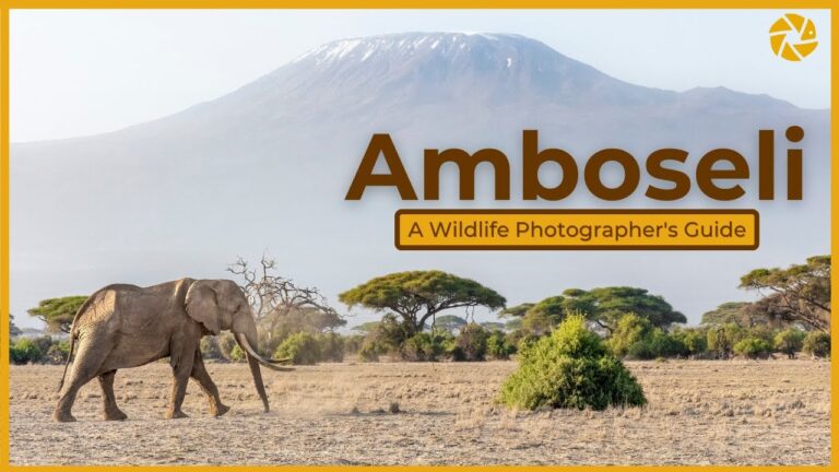 Amboseli National Park – A Wildlife Photographer's Guide.