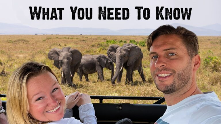 AFRICAN SAFARI – 20 Tips You Need To Know Beforehand