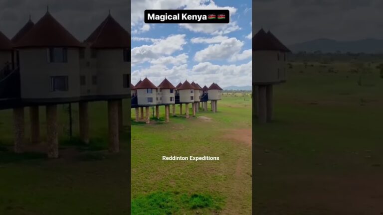 World's Most photographed Lodge Saltlick #Safari Lodge #safari #kenya #lodges #tsavo #fyp #reddinton