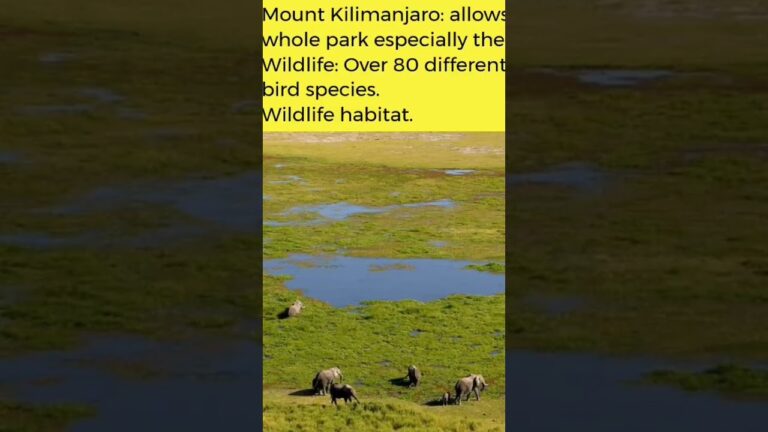 Amboseli National Park – Kenya #parks #travel #hotel