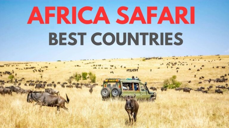 10 Best African Safari Countries – Travel Guide