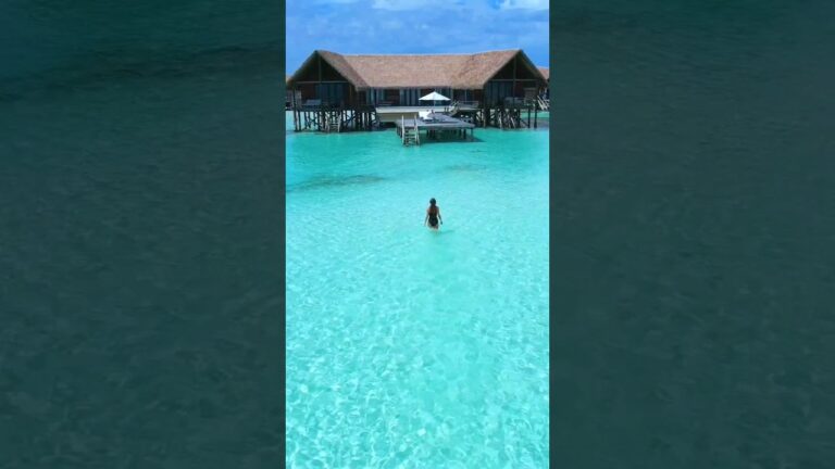 Beautiful Maldives in the 5* resort Como Cocoa Island 🤩🏝️ #maldives #luxurytravel #bestresorts