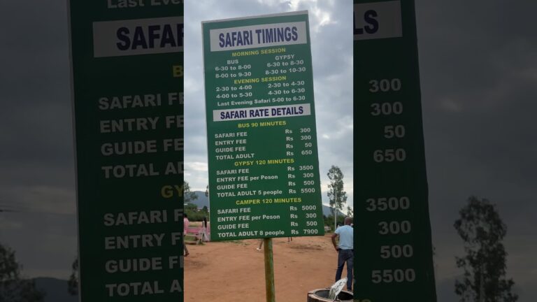 Bandipur safari timings and price details #travel #tiger #wildlifelove#bandipurtigerreserve#tiger