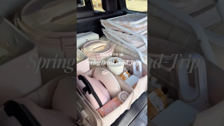 Road-Trip Car Organization 🎀 #travel #summer #traveling #car #caraccessories #organization