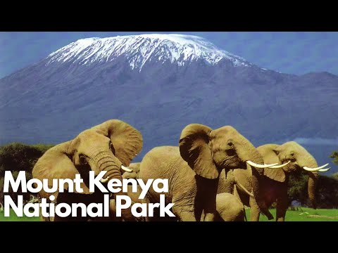 Exploring the Wonders of Mount Kenya National Park