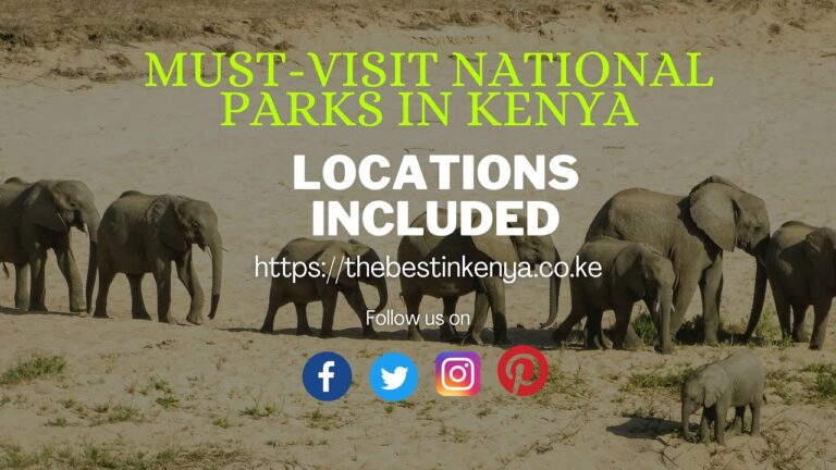 The Best National Parks to Visit in Kenya