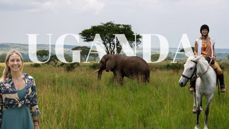 This is Africa's Most Underrated Safari Destination – Uganda in 4k