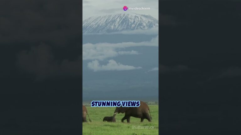 Top 5 Must Visit National Parks in Kenya!!