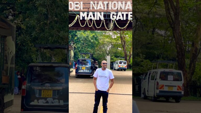 A day at the Nairobi National Park in Kenya #music #nairobinationalpark #masaimaranationalreserve