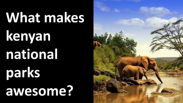 What makes kenyan national parks awesome?
