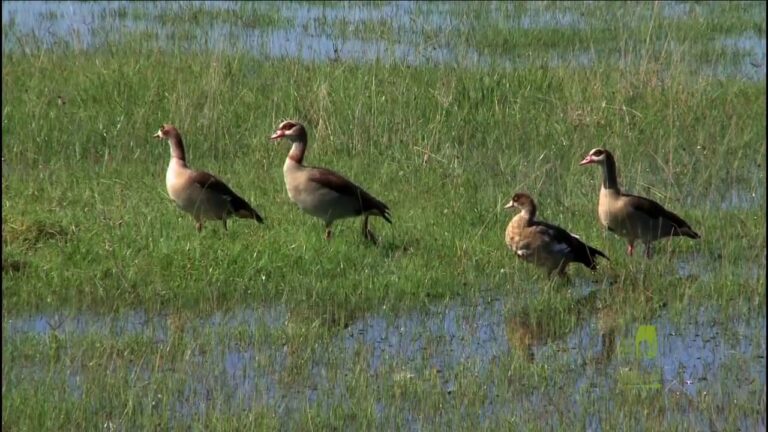 Lake Nakuru National Park