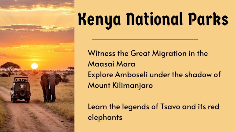 Kenya National Parks: Safari, Lions, and the Great Migration | Little English Studio