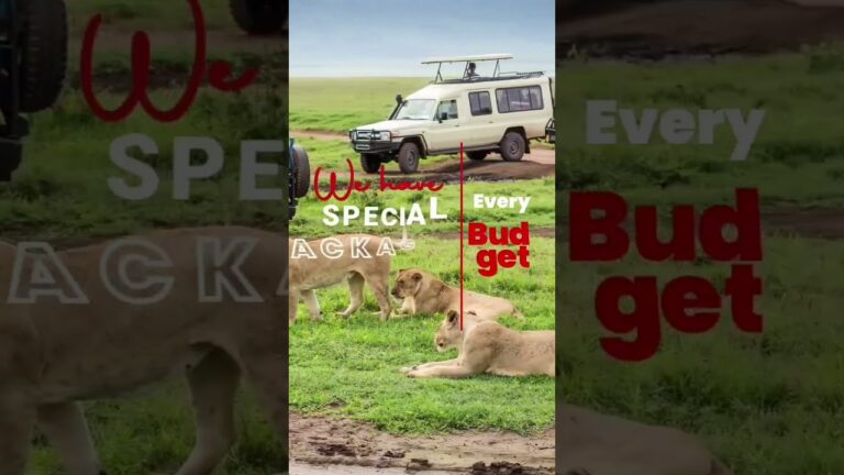 Travel with Maono Safaris Tours and Travel for a memorable experience.