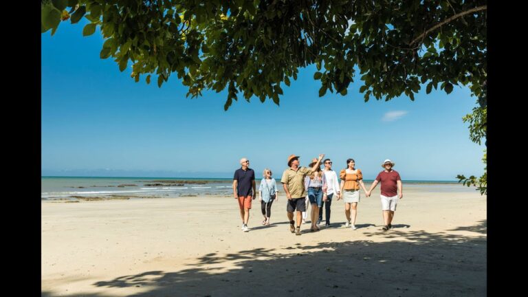 Billy Tea Safaris, Daintree Rainforest Tour