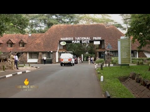 Exploring the World’s ONLY National Park Within a City – Nairobi National Park!(Part 1)