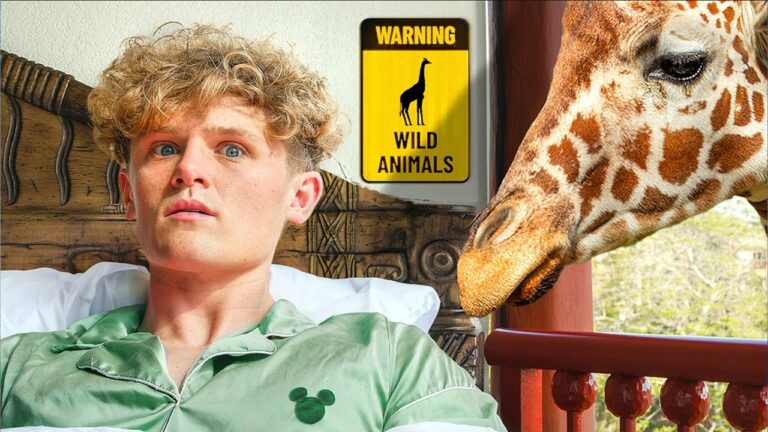 I Stayed in Every Hotel at Disney World