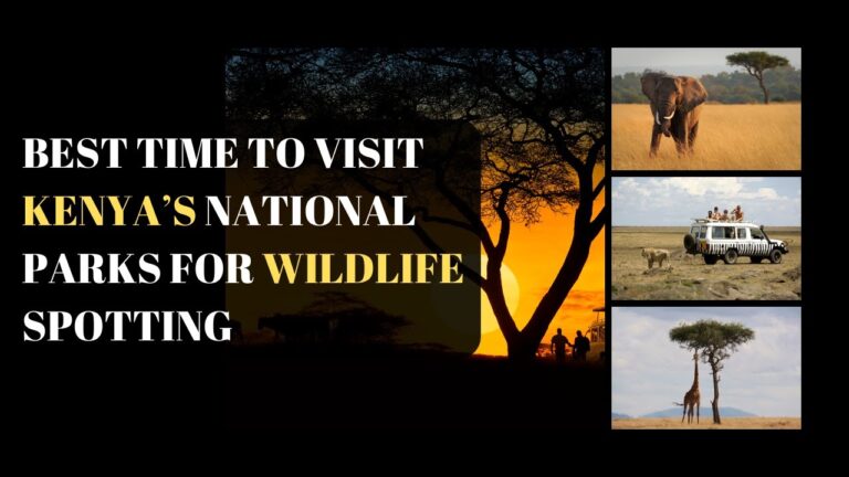 Best Time to Visit Kenya’s National Parks for Wildlife Spotting | Travel Ease Hub | #trfavel #travel