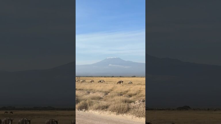 Amboseli National Park 🗻🐘🦒                    #amboseli #kenya #kilimanjarosafari