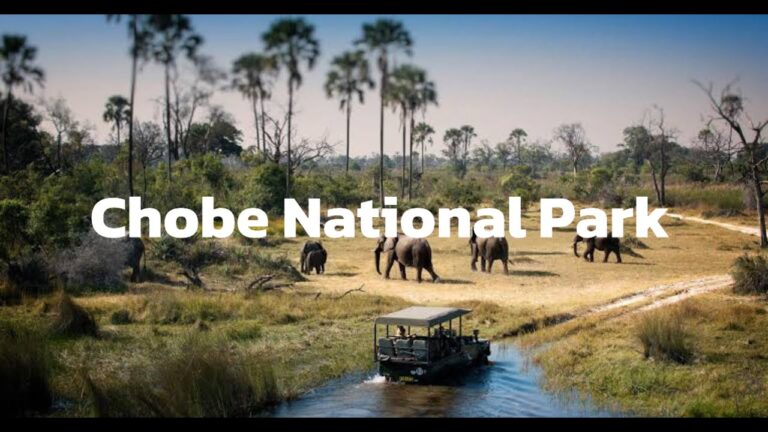 Gondwana Tours & Safaris – Chobe National Park