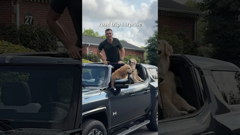 Surprising my dogs with an epic road trip to a yurt 🛖