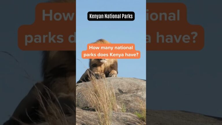 Kenya"s National Parks
