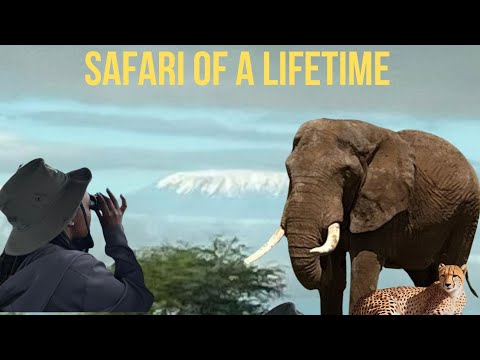 WILD KENYA SAFARI FROM NAIROBI TO AMBOSELI NATIONAL PARKS.lions,cheetahs,elephants