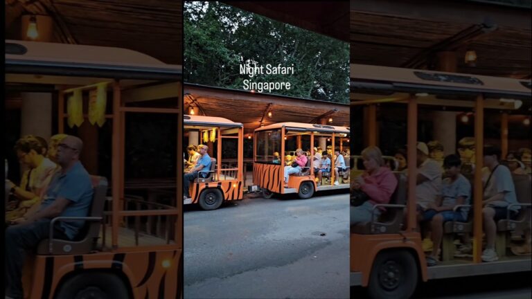 Night Safari,  Singapore 🦁🐒🦬#singapore #nightsafari #safari #singaporezoo #zoo #show #travel #asia