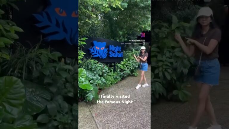 Night Safari Singapore Honest review #singaporevlog #travel