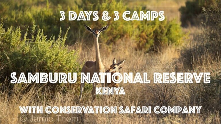 3 Days & 3 Camps in Samburu National Reserve, Kenya – 4K
