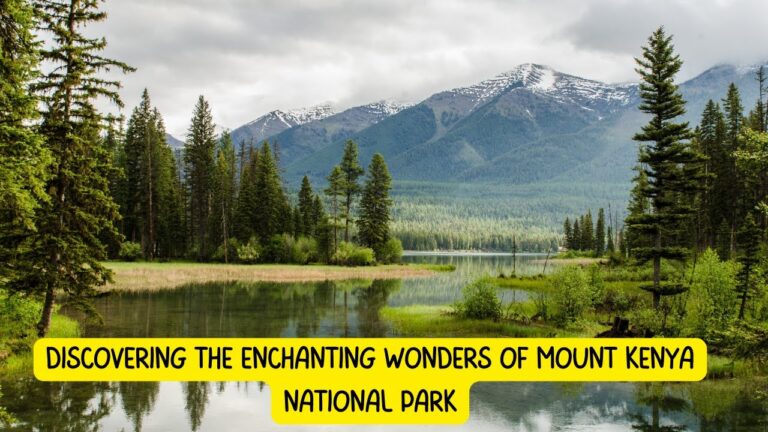 Discovering the Enchanting Wonders of Mount Kenya National Park