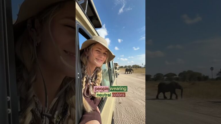 Don’t do THIS on Safari! 👀‼️Pack the RIGHT clothes! #safari #tanzania #kenya #serengeti