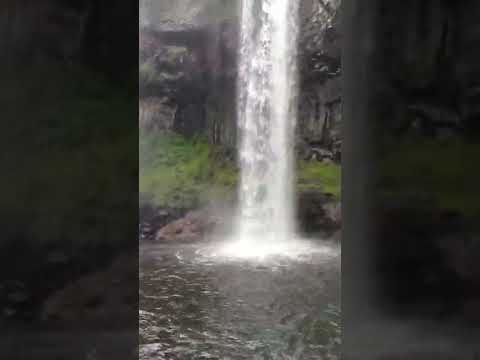 TOP TOURIST ATTRACTIONS SITES IN KENYA/ABERDARE NATIONAL PARK KENYA/BEST PLACES TO VISIT IN KENYA