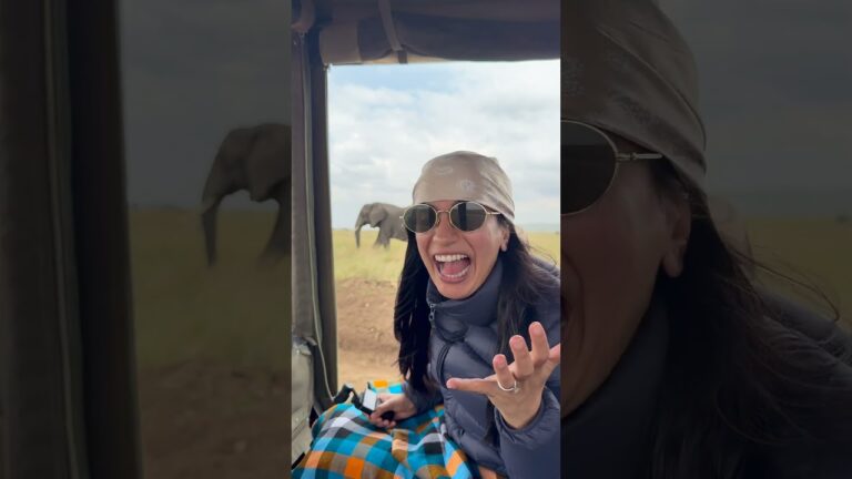 Day 1 on Safari #hindi #safari #travelvlog