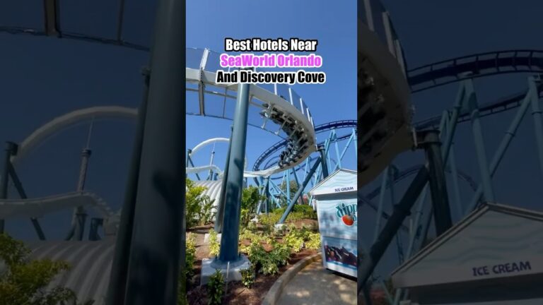 The 5 BEST Hotels Near SeaWorld Orlando 🤩 (and Discovery Cove)