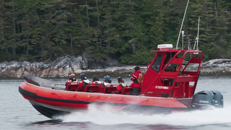 Coastal Rainforest Safaris – Port Hardy Sea Otter and Whale Watching Tours