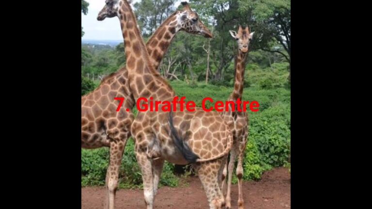 10 best places to visit in Nairobi Kenya